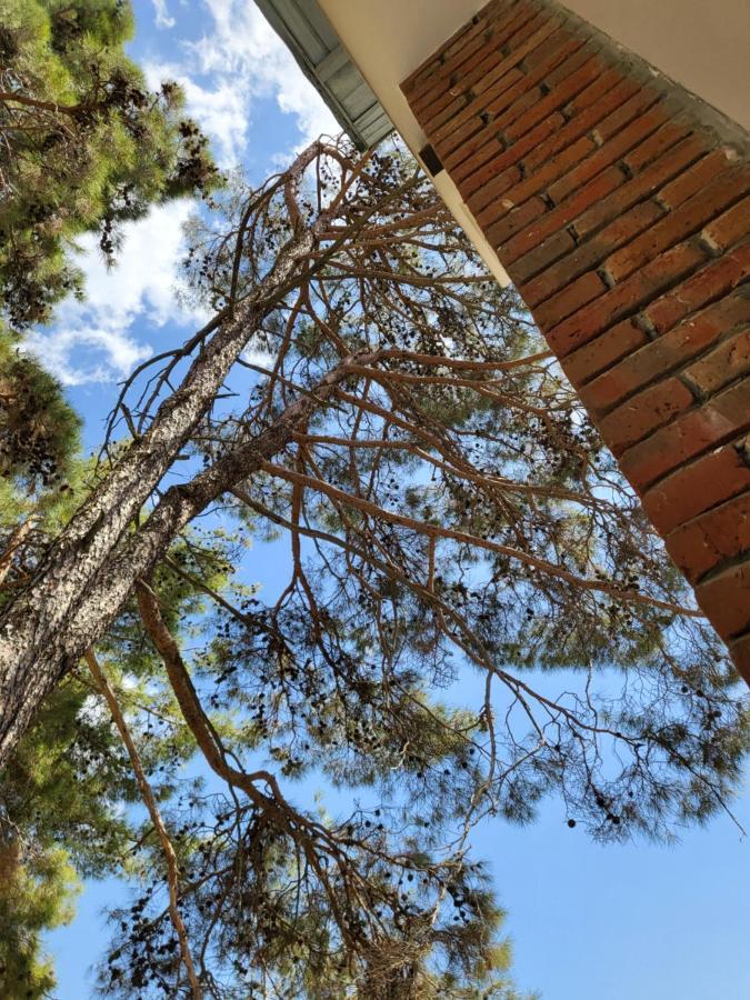 Villa Theplatres.Nest Exterior foto
